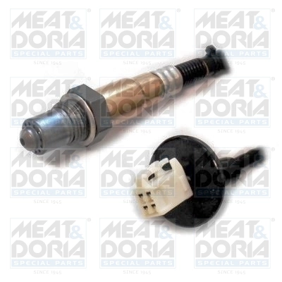 Oxygen Sensor